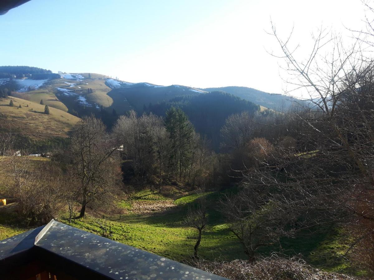 Ferienhaus Schweissing Frohnd Buitenkant foto